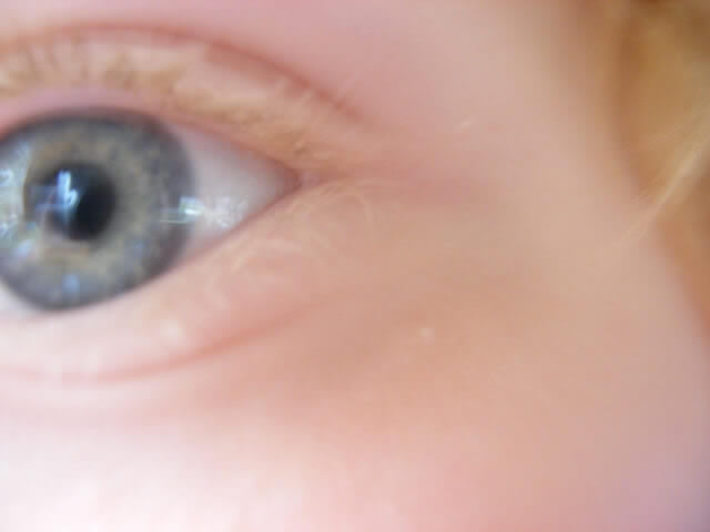 Closeup of a human eye